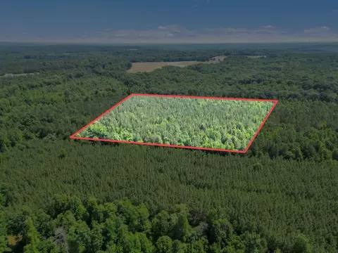 0 Simpson Mill Rd, Laurens, SC 29360 photo 18