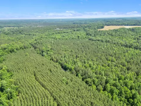 0 Simpson Mill Rd, Laurens, SC 29360 photo 9