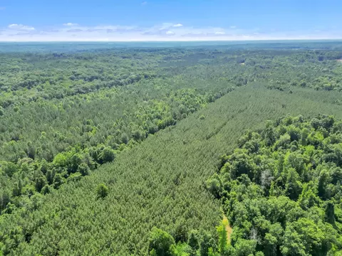 0 Simpson Mill Rd, Laurens, SC 29360 photo 15