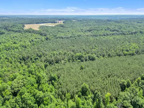 0 Simpson Mill Rd, Laurens, SC 29360 photo 13