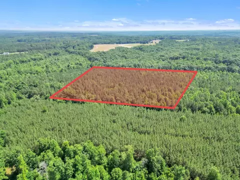 0 Simpson Mill Rd, Laurens, SC 29360 photo 19