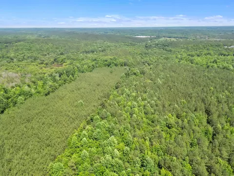 0 Simpson Mill Rd, Laurens, SC 29360 photo 4