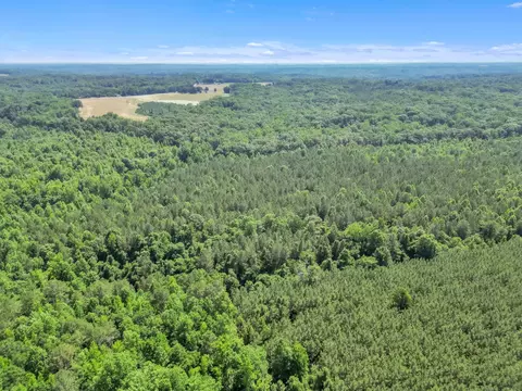 0 Simpson Mill Rd, Laurens, SC 29360 photo 16