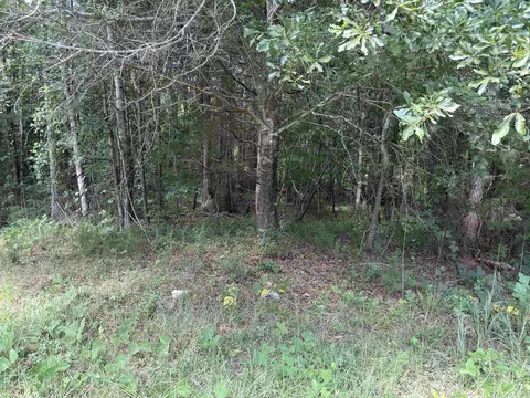 0 Corinth Rd, Gaffney, SC 29340 photo 5