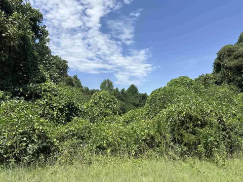 0 Corinth Rd, Gaffney, SC 29340 photo 3