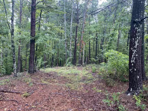 112 Wake Robin Dr, Sunset, SC 29685 photo 3