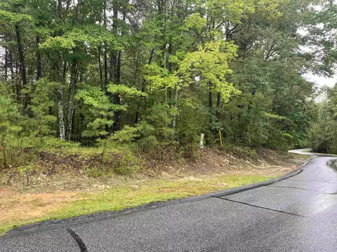 112 Wake Robin Dr, Sunset, SC 29685 photo 4