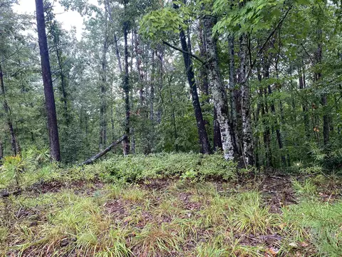 112 Wake Robin Dr, Sunset, SC 29685 photo 5