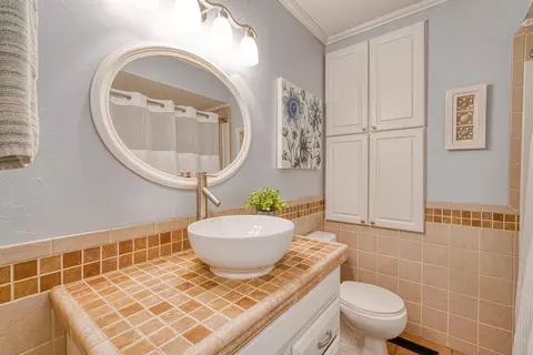 Bath - 169 Gregory St, Roebuck, SC 29376 photo 1 of 2