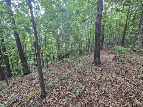 275 Kincaid Pl, Mill Spring, NC 28756 photo 8