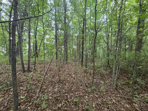 275 Kincaid Pl, Mill Spring, NC 28756 photo 9