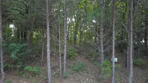 275 Kincaid Pl, Mill Spring, NC 28756 photo 27