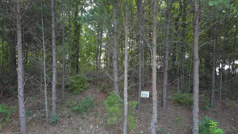 275 Kincaid Pl, Mill Spring, NC 28756 photo 26