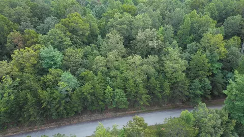 275 Kincaid Pl, Mill Spring, NC 28756 photo 24