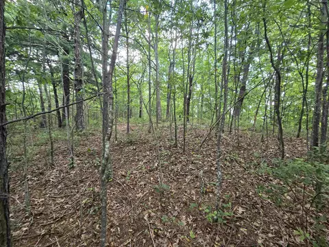 275 Kincaid Pl, Mill Spring, NC 28756 photo 7