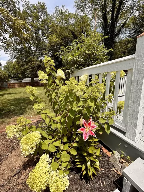Exterior - 401 E Rutledge Ave, Gaffney, SC 29340 photo 9 of 9