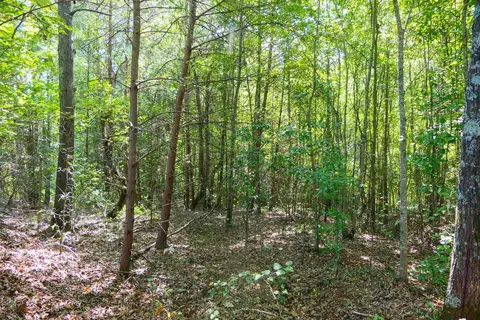 Smith Chapel Rd, Campobello, SC 29322 photo 13