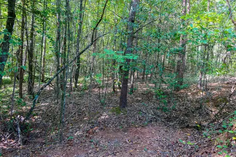 Smith Chapel Rd, Campobello, SC 29322 photo 15