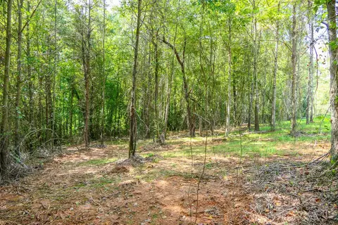 Smith Chapel Rd, Campobello, SC 29322 photo 11