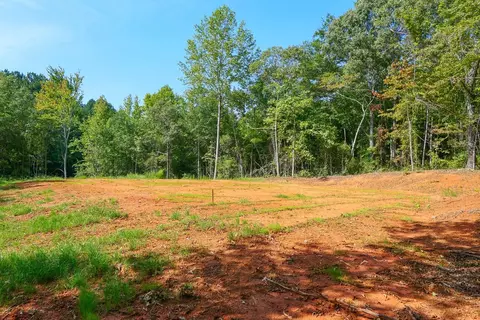 Smith Chapel Rd, Campobello, SC 29322 photo 8