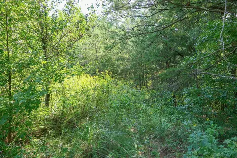 Smith Chapel Rd, Campobello, SC 29322 photo 14