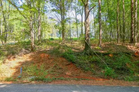 Smith Chapel Rd, Campobello, SC 29322 photo 19