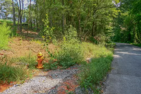 Smith Chapel Rd, Campobello, SC 29322 photo 18