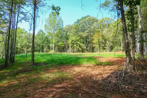 Smith Chapel Rd, Campobello, SC 29322 photo 10