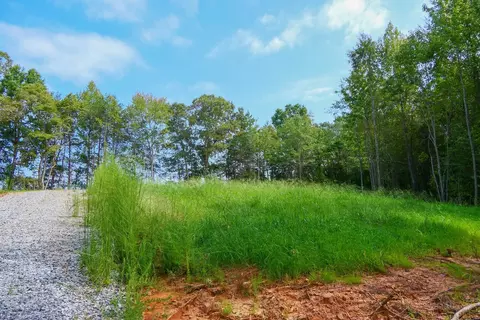 Smith Chapel Rd, Campobello, SC 29322 photo 5