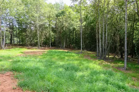 Smith Chapel Rd, Campobello, SC 29322 photo 7
