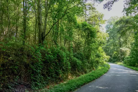Smith Chapel Rd, Campobello, SC 29322 photo 21