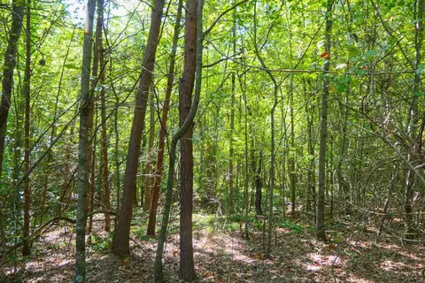 Smith Chapel Rd, Campobello, SC 29322 photo 12