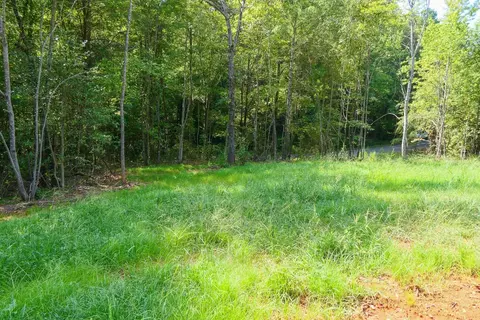 Smith Chapel Rd, Campobello, SC 29322 photo 9