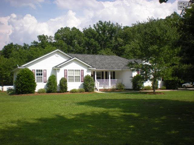 445 Devils Backbone Rd, Leesville, SC 29070 photo 1
