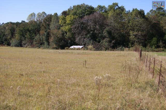 284 Grapevine Rd, Leesville, SC 29070 photo 1