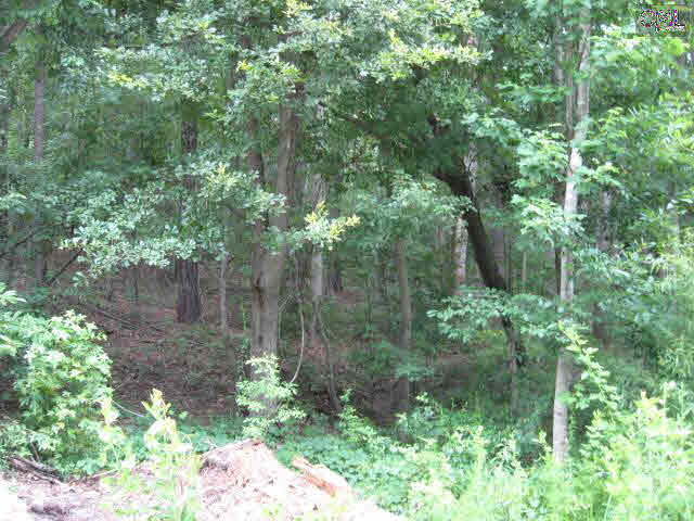 709 Haskell Rd, Gilbert, SC 29054 photo 1