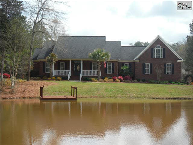 150 Distant Ln, Chapin, SC 29036 photo 1