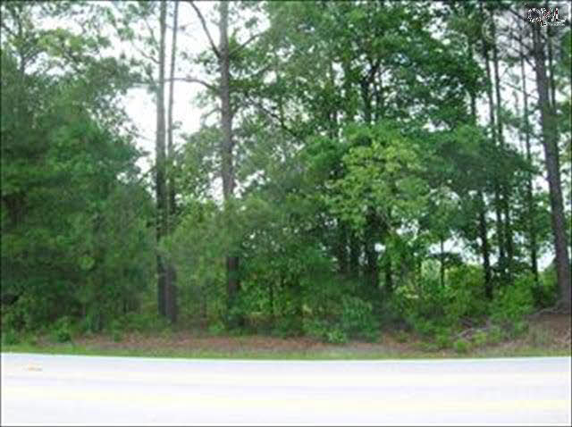 923 Roberts Dr, Elgin, SC 29045 photo 1