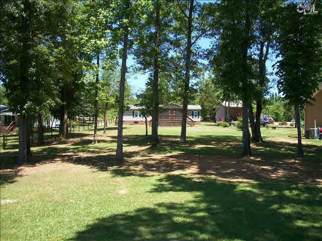 118 Nevets Ln, Prosperity, SC 29127 photo 1