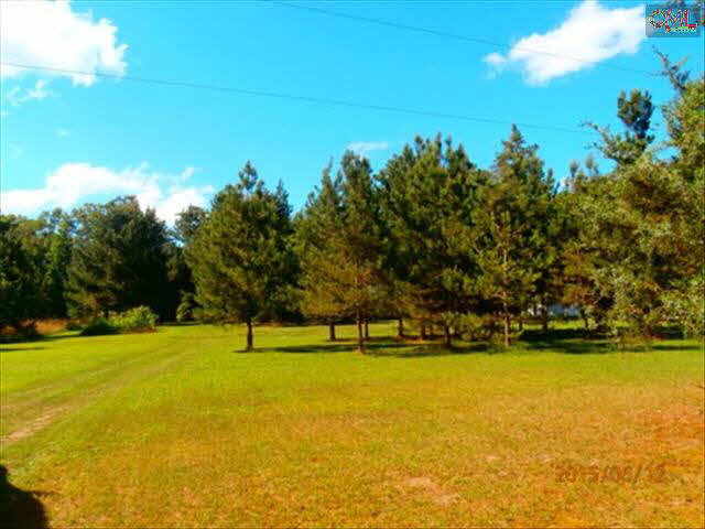 141 Spruce Rd, Ward, SC 29166 photo 1