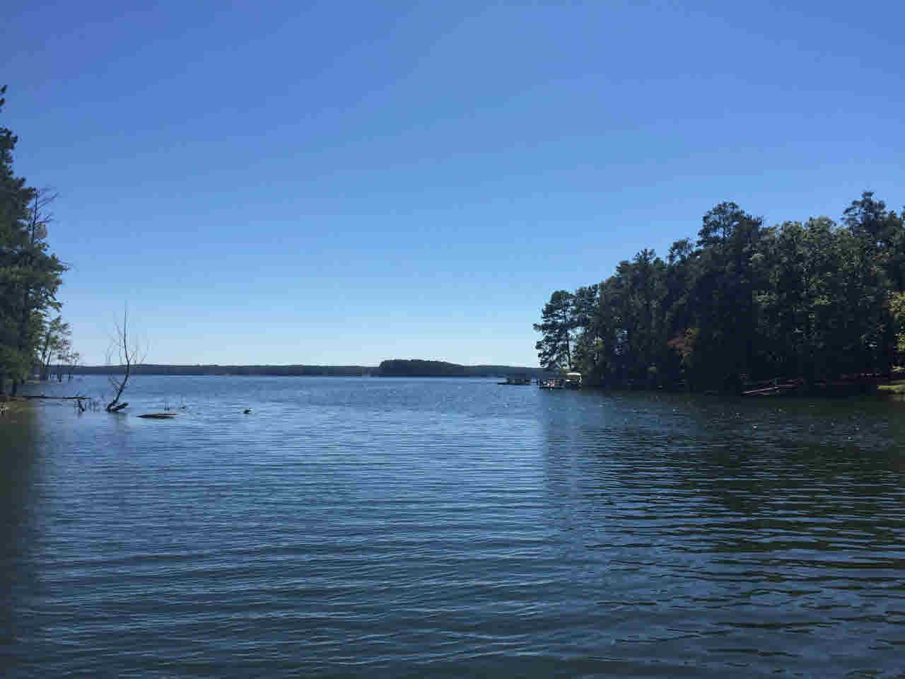 1969 State Park Rd, Prosperity, SC 29127 photo 1