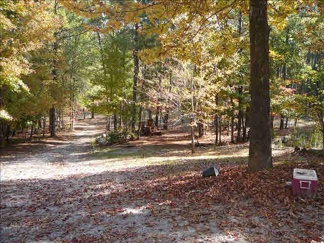 1059 Mickle Ln, Ridgeway, SC 29130 photo 1