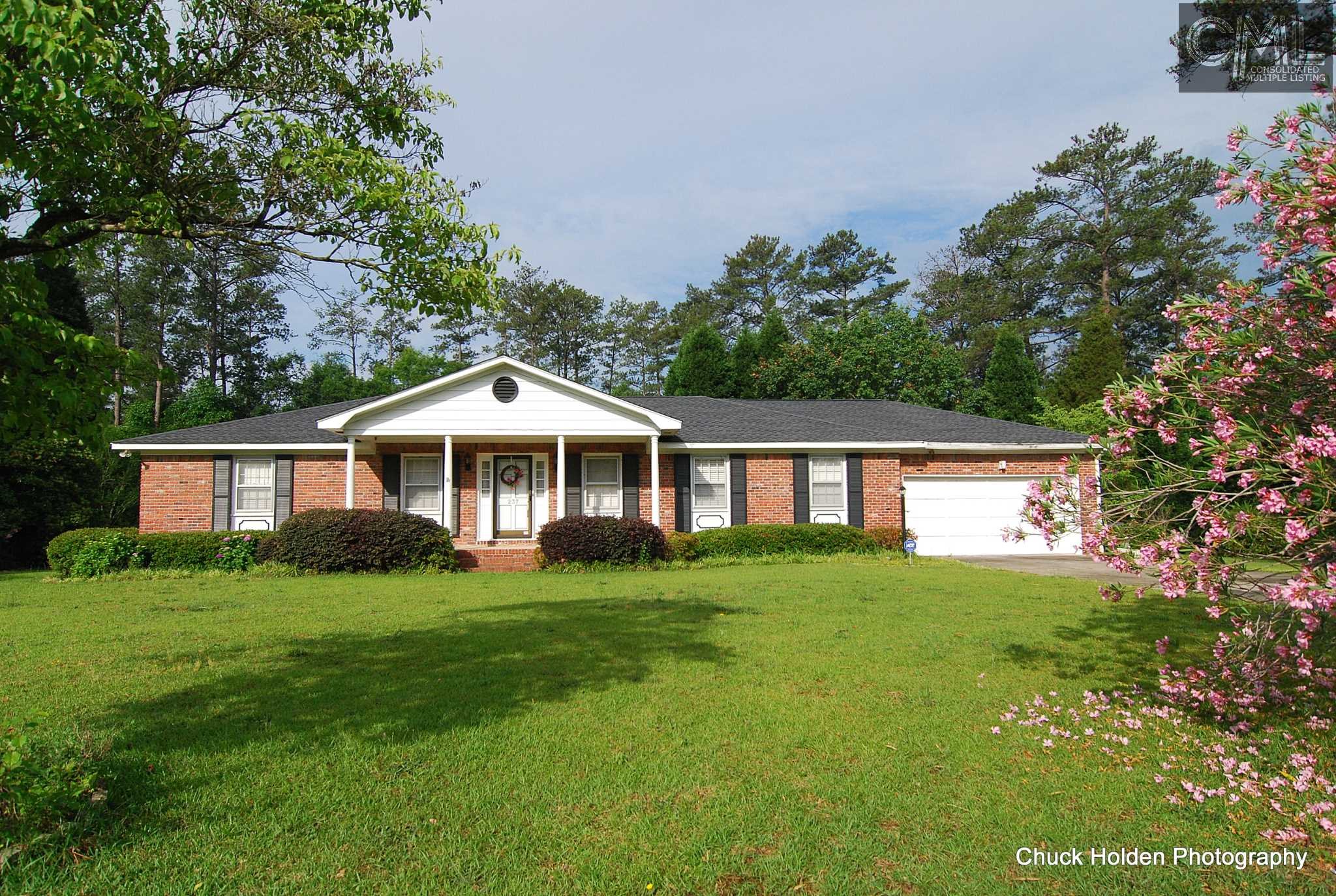 237 Moonlight Dr, Columbia, SC 29210 photo 1