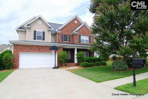 210 Spring Mist Dr, Lexington, SC 29072 photo 1