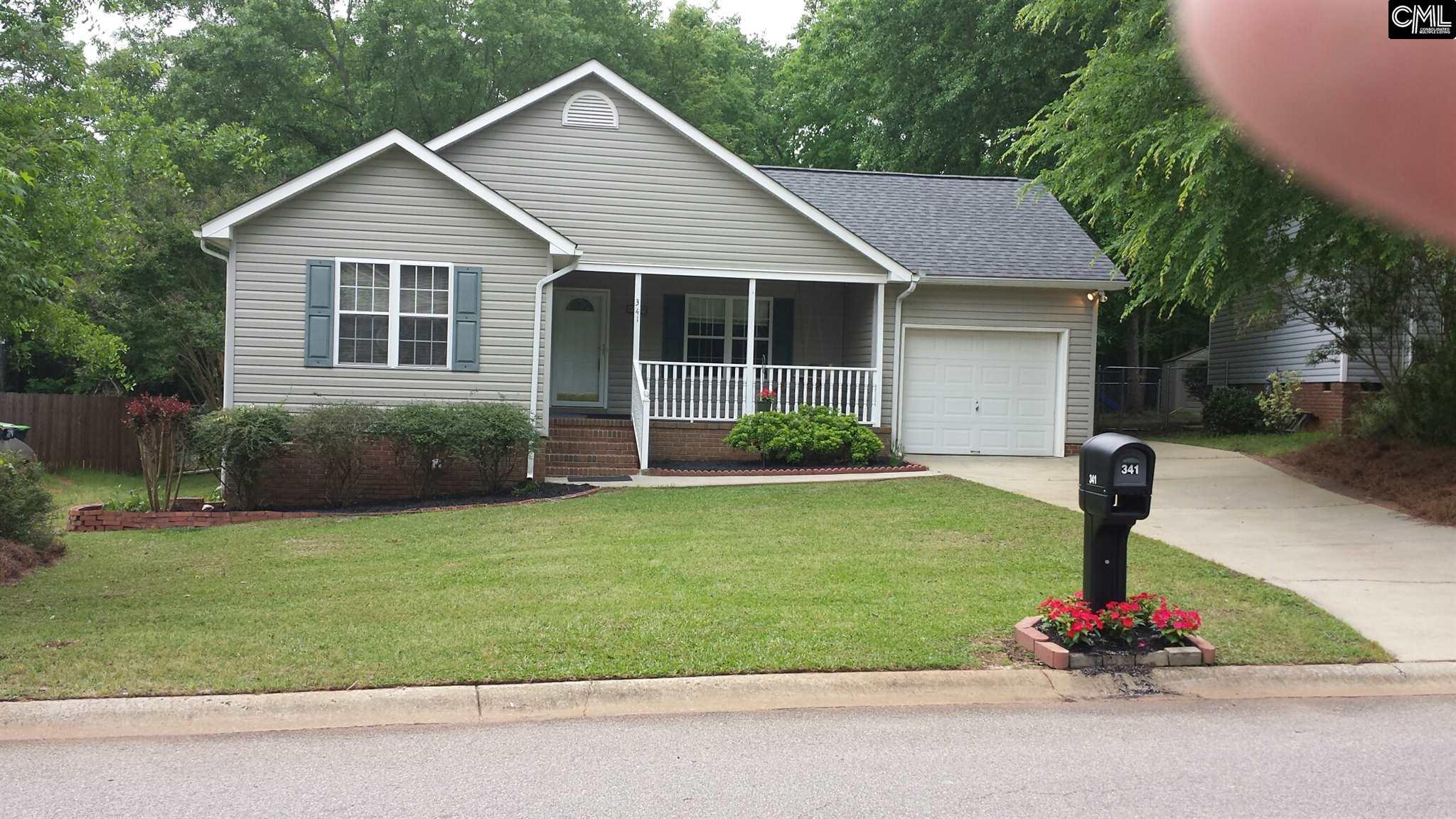341 Firebridge Dr, Chapin, SC 29036 photo 1