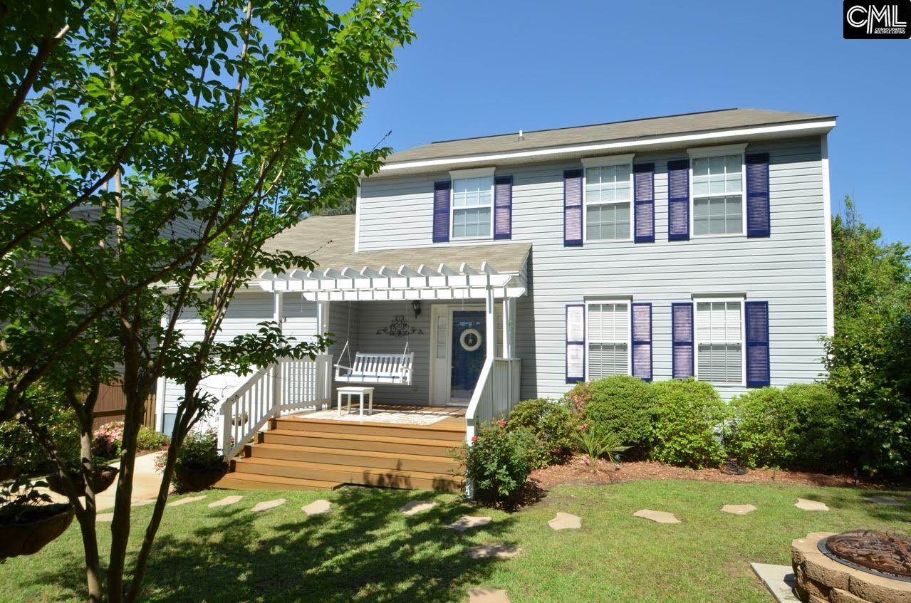 108 Stonemaker Ct, Chapin, SC 29036 photo 1