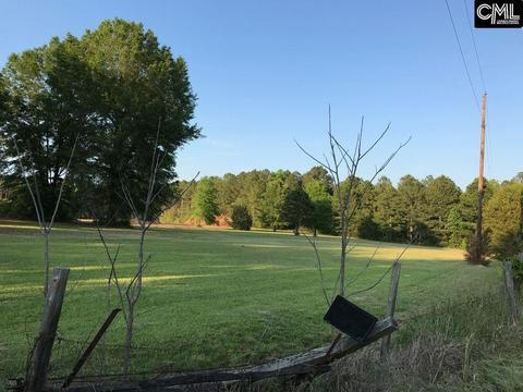 196 Sid Bickley Rd, Chapin, SC 29036 photo 1