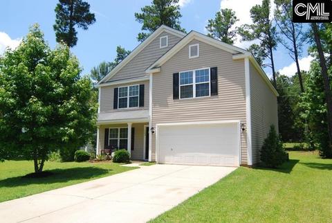 124 Eagle Pointe Dr, Chapin, SC 29036 photo 1