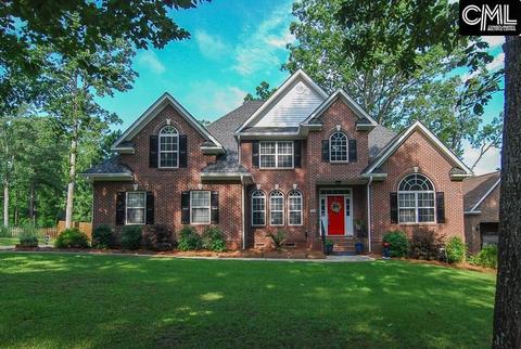 318 Old Forge Rd, Chapin, SC 29036 photo 1
