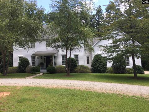 135 Eagle Chase Ct, Chapin, SC 29036 photo 1